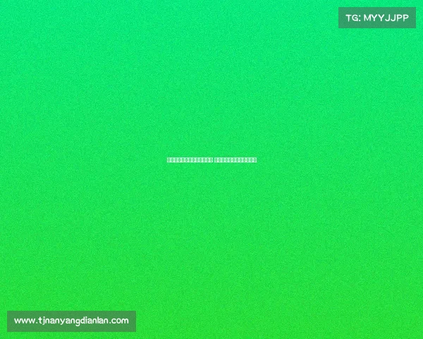 西汉姆球迷联合发起抵制行动 强烈抗议俱乐部管理层决策