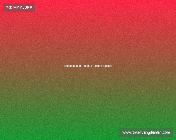 斯图加特接触法比奥维埃拉 阿森纳标价3000万至3500万欧元 斯图加特接触法比奥维埃拉 阿森纳标价3000万至3500万欧元