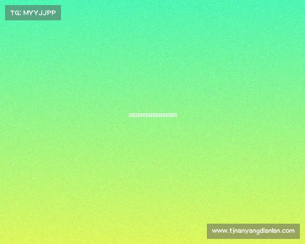 德甲历史零封场次统计及顶尖门将表现分析